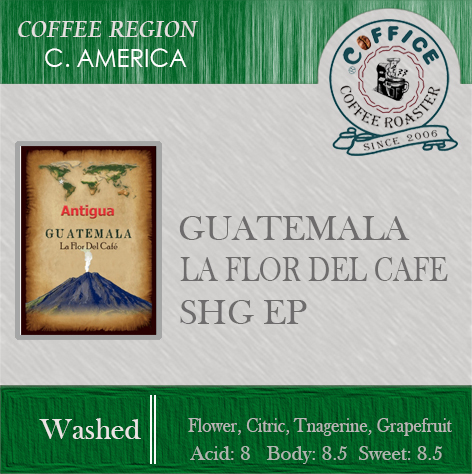 瓜地馬拉～貝拉卡蒙納 花神 慢速乾燥 SHG (半磅227g) - 咖啡意識烘焙館 coffice.com.tw