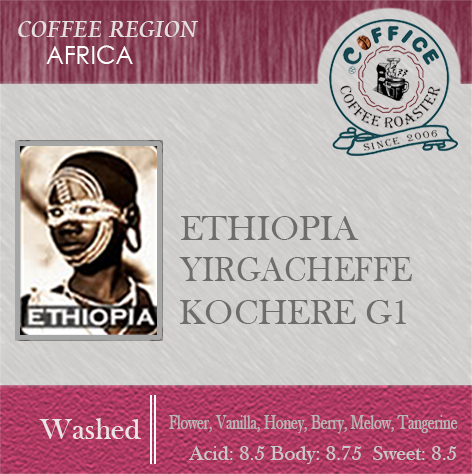 衣索比亞～科契爾 水洗耶加雪夫 G1 （半磅227g） - 咖啡意識烘焙館 coffice.com.tw