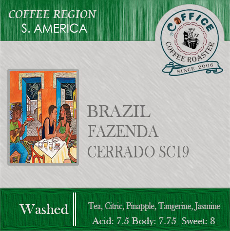 巴西 ～ 喜拉朵 水洗SC18 (半磅227g) - 咖啡意識烘焙館 coffice.com.tw