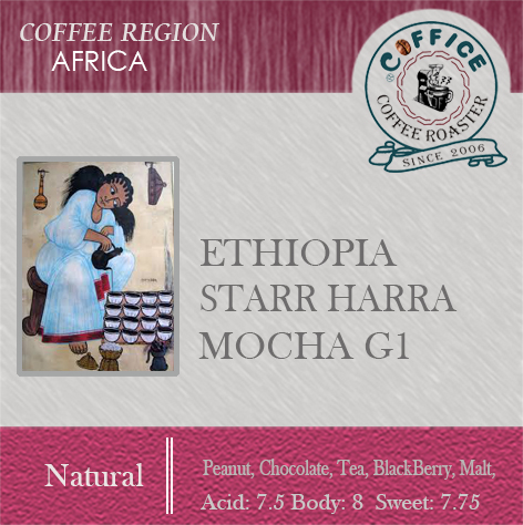 衣索比亞 ～ 哈拉摩卡 日曬 (半磅227g) - 咖啡意識烘焙館 coffice.com.tw