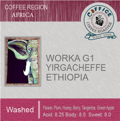 衣索比亞 耶加雪夫 沃卡 水洗Ethiopia Yirgacheffe Worka Washed G1(半磅227g) - 咖啡意識烘焙館 coffice.com.tw