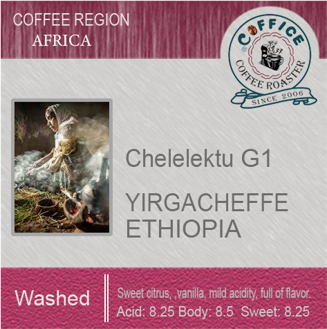 衣索比亞 耶加雪夫 科契爾鎮 雪冽圖村 Ethiopia Yirgacheffe Chelelektu Washed G1(半磅227g) - 咖啡意識烘焙館 coffice.com.tw