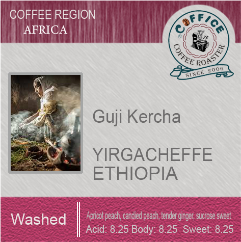 衣索比亞 谷吉摩卡妮莎 水洗 G1 Ethiopia Guji Kercha Lot 2 Washed (半磅227g) - 咖啡意識烘焙館 coffice.com.tw