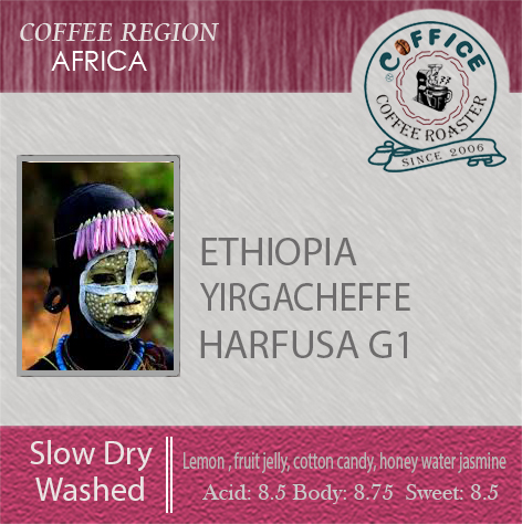 衣索比亞 耶加雪菲 荷芙莎村 慢速乾燥處理 水洗 G1 Ethiopia Yirgacheffe Hafursa Slow Dry Washed G1 (半磅227G) - 咖啡意識烘焙館 coffice.com.tw