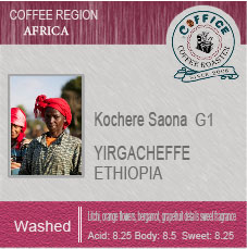 衣索比亞耶加雪夫 科契爾 風之谷水洗 Ethiopia Yirgacheffe Kochere Saona Washed G1(半磅227g) - 咖啡意識烘焙館 coffice.com.tw