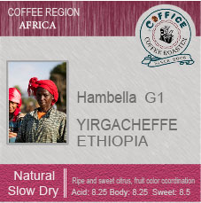 衣索比亞 耶加雪夫 春雷處理廠 慢速乾燥 水洗 G1 Ethiopia Yirgacheffe Haru Washed Slow Dry G1 (半磅227g) (複製) - 咖啡意識烘焙館 coffice.com.tw
